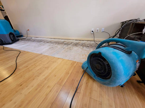 Professional Flood Damage Cleanup technician working in Glidden, TX